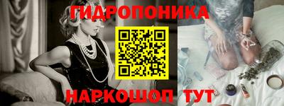 стаф Кандалакша